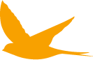oiseau grand format orange
